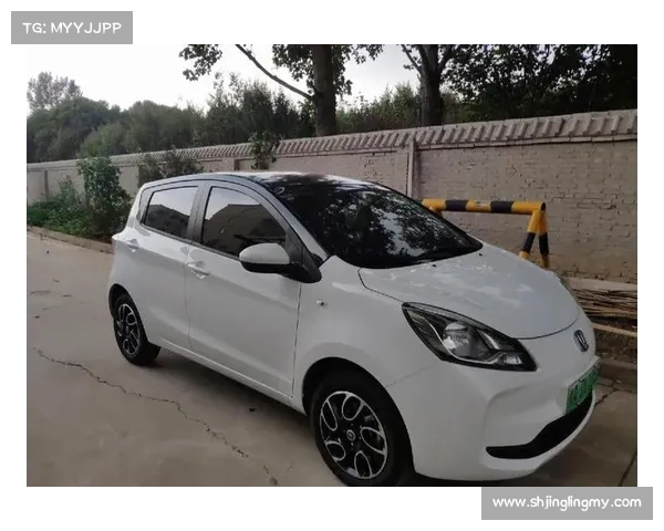 “长安奔奔质保期内动力电池损坏，售后无电池更换劝车主换车”追踪：售后调货，已为车主更换全新电池